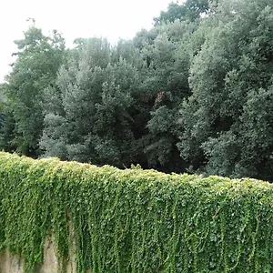 Appartamento Un'angolo Incantato, Firenze